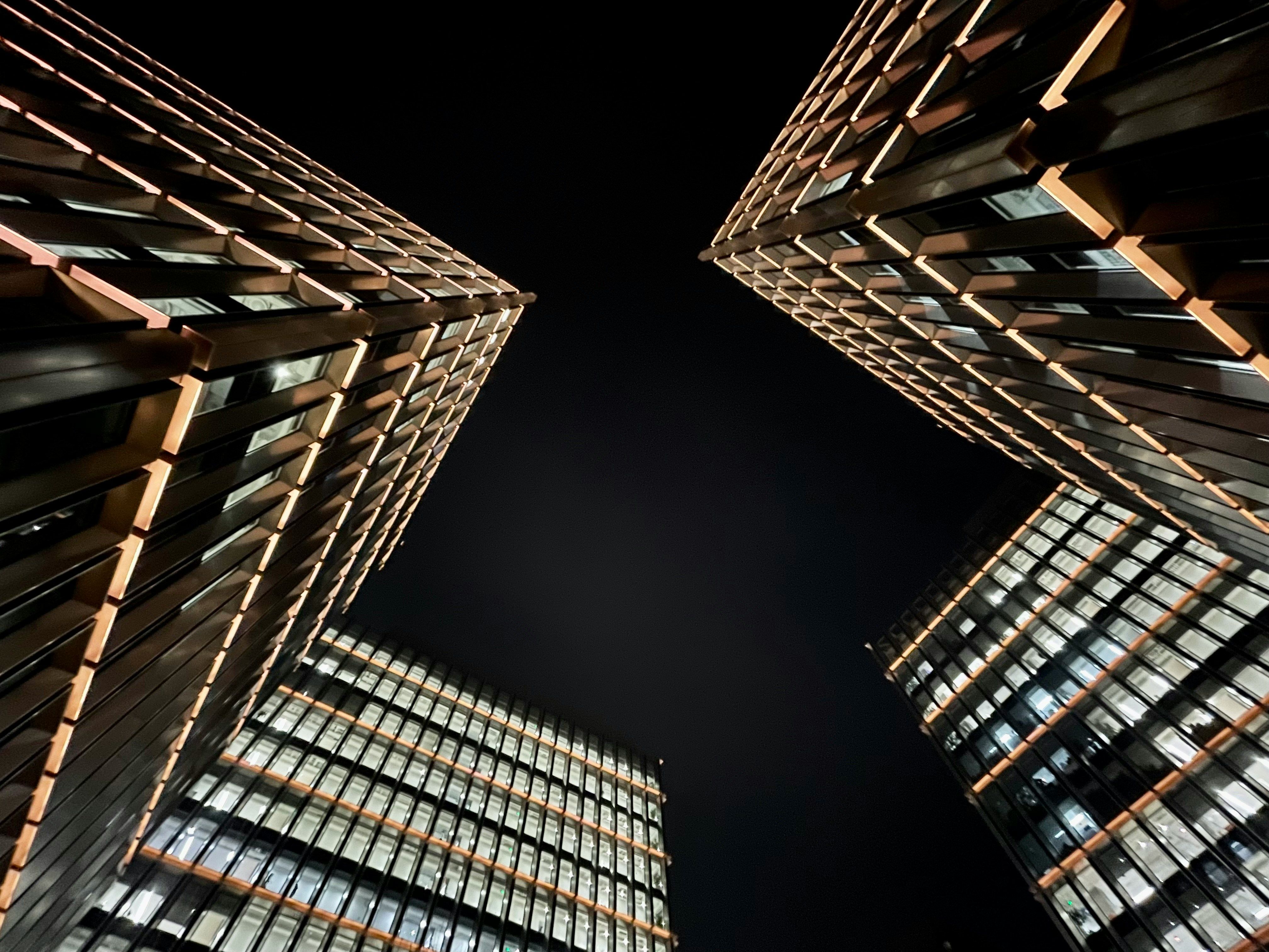 懶大的告白:從賭身家到種樹,我的投資覺醒之路